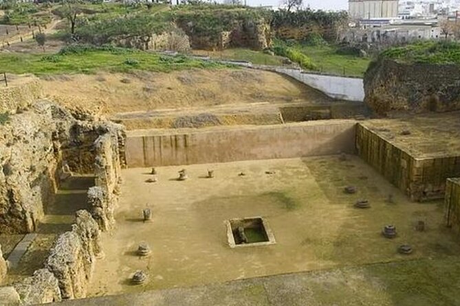 Carmona Roman Necropolis and History Walking Tour - Group size, language, and family rules
