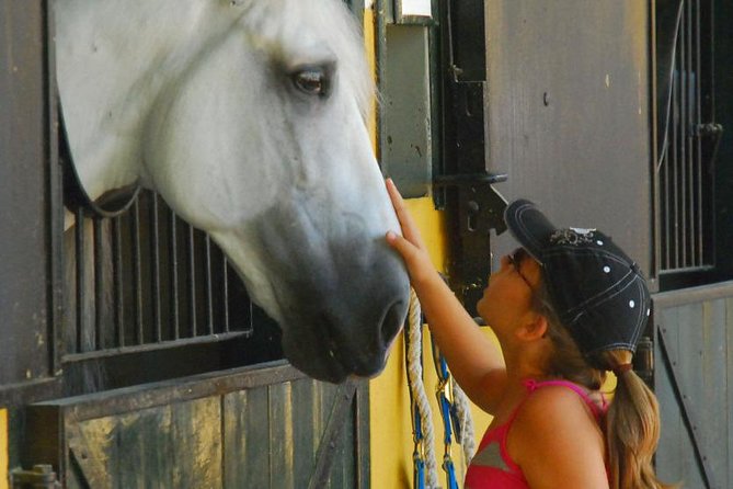 Carthusian Stud private – Yeguada de la Cartuja - Why Carthusian horses matter in Jerez