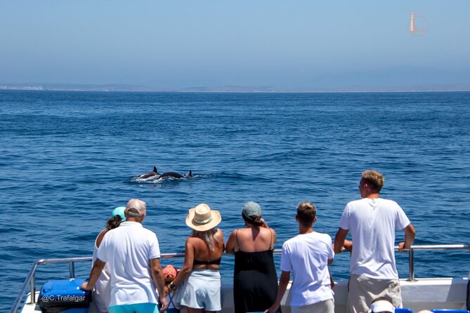 Cetacean Watching Tour - Key points to know before you book
