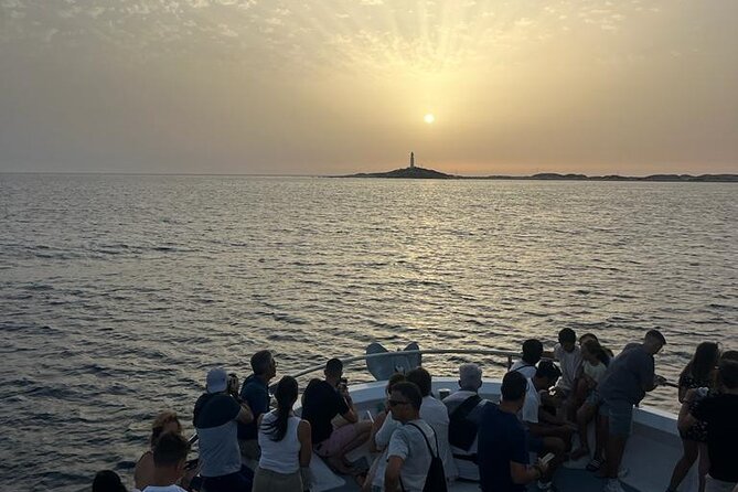 Cetacean Watching Tour - Why the Trafalgar waters make a good setting