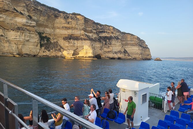 Cetacean Watching Tour - The crew and the value of patient searching