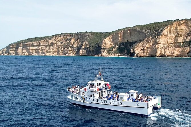 Cetacean Watching Tour - What the three-hour outing is really like