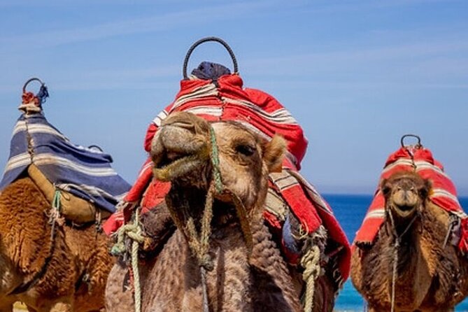 Chefchaouen Day Trip from Seville - What the private setup gives you