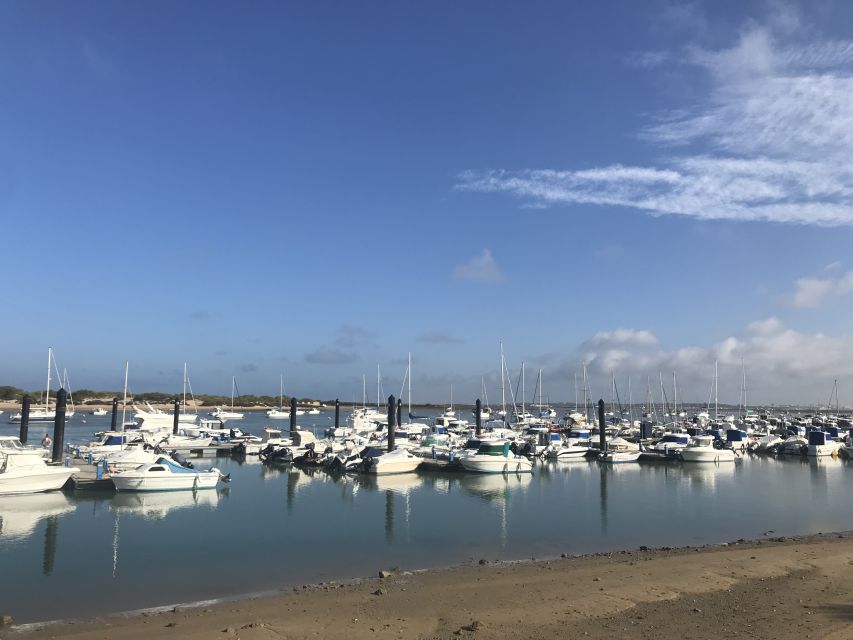 Chiclana de la Fra: Coast of Sancti Petri Catamaran Tour - Key points to know before sailing