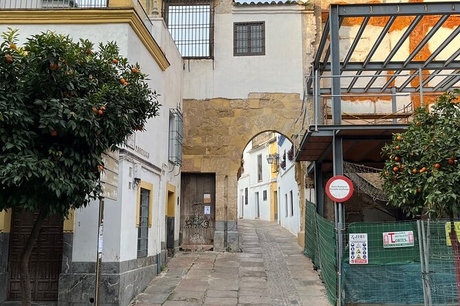 City of Caliphs: A Self-Guided Walking Tour of Córdoba’s History - See Roman Córdoba at the Temple and Museum