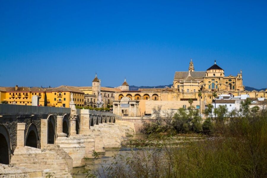 Córdoba: Alcázar and Jewish Quarter 2-Hour Guided Tour - Roman mosaics and a well-preserved sarcophagus