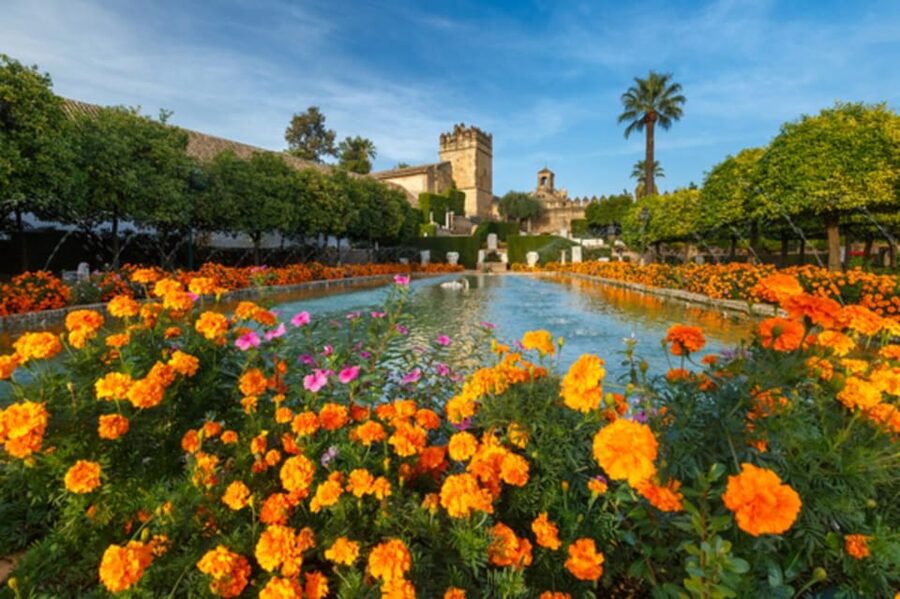 Cordoba: Alcazar of Christian Monarchs 1–Hour Guided Tour - Guide quality, language, and pace