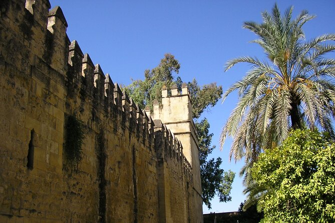 Córdoba: Alcazar Skip the Line Guided Tour - Entering the Alcazar on Avenida del Alcázar