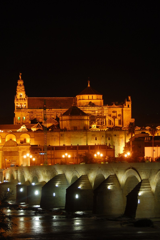 Cordoba at Night by Bike, Electric Bike - Starting at Calle Maria Cristina 5