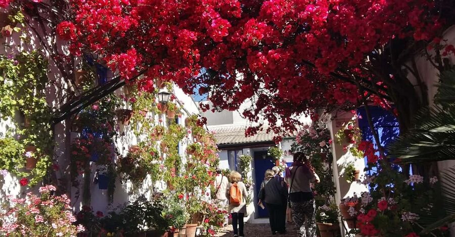 Cordoba Courtyards by Bike, Electric Bike - Key points about the Córdoba patio bike tour