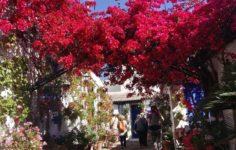 Cordoba Courtyards by Bike, Electric Bike - Why Córdoba’s patios are worth seeing by bike