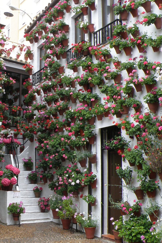 Cordoba Courtyards by Bike, Electric Bike - Choosing between a standard bike and an e-bike