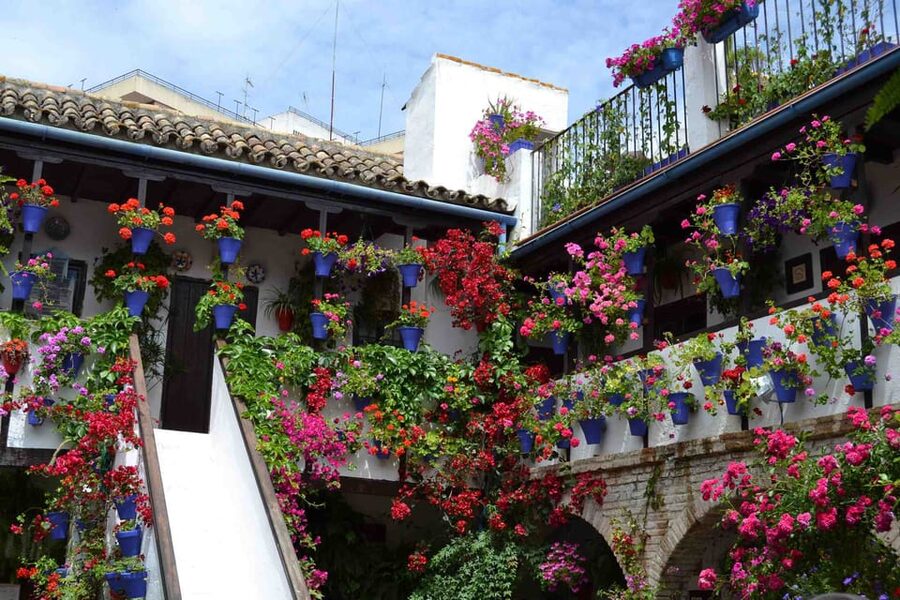 Cordoba Courtyards by Bike, Electric Bike - Four courtyards, four different views of the tradition