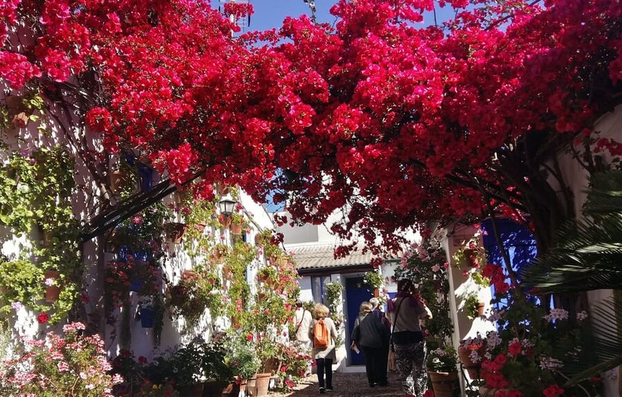 Cordoba Courtyards by Bike, Electric Bike - Riding through Córdoba between the stops