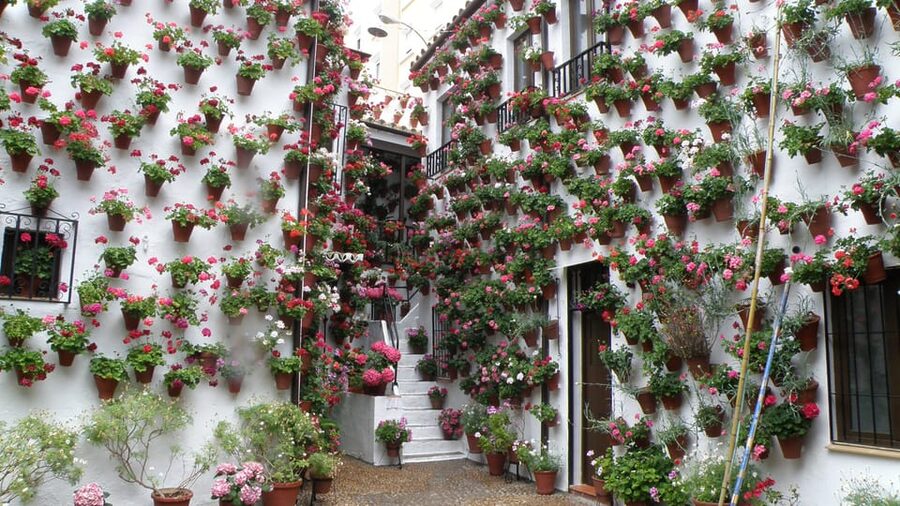 Cordoba Courtyards by Bike, Electric Bike - Is $45 a fair price?
