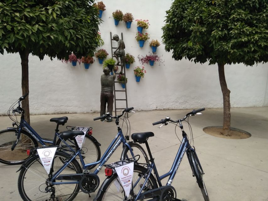 Córdoba Daily Highlights Bike Tour - The Mezquita-Cathedral from the outside