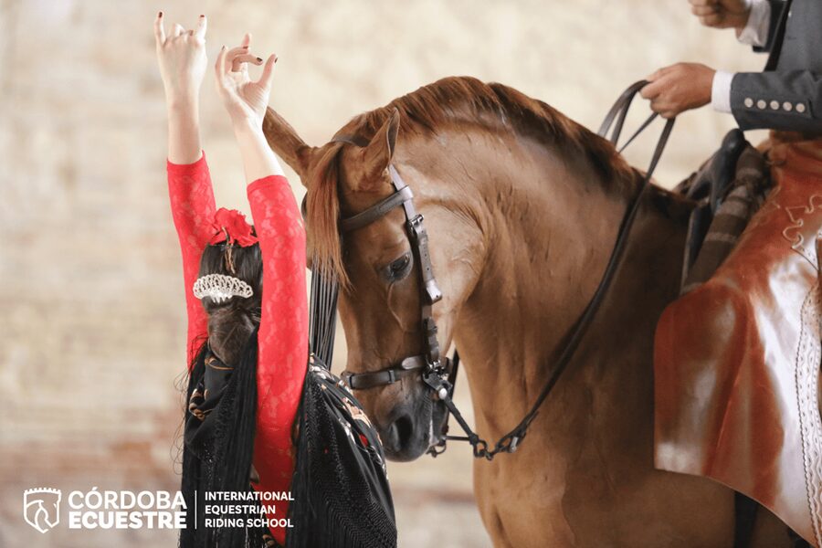 Cordoba: Equestrian Show General Entry - Key points to know before booking