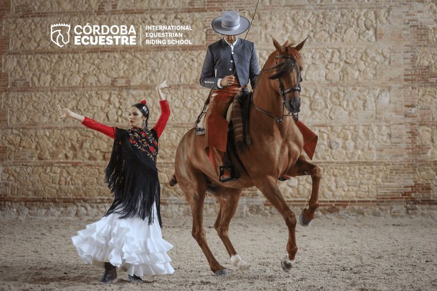 Cordoba: Equestrian Show General Entry - Seating, sightlines, and general entry