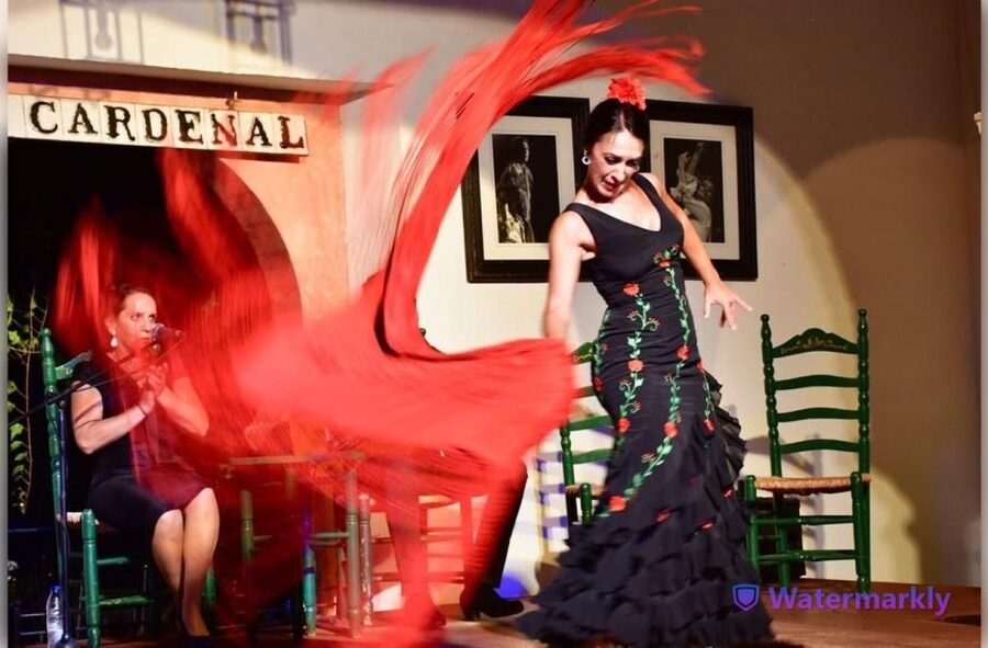 Córdoba: Flamenco Show Ticket with Drinks - How seating affects the experience