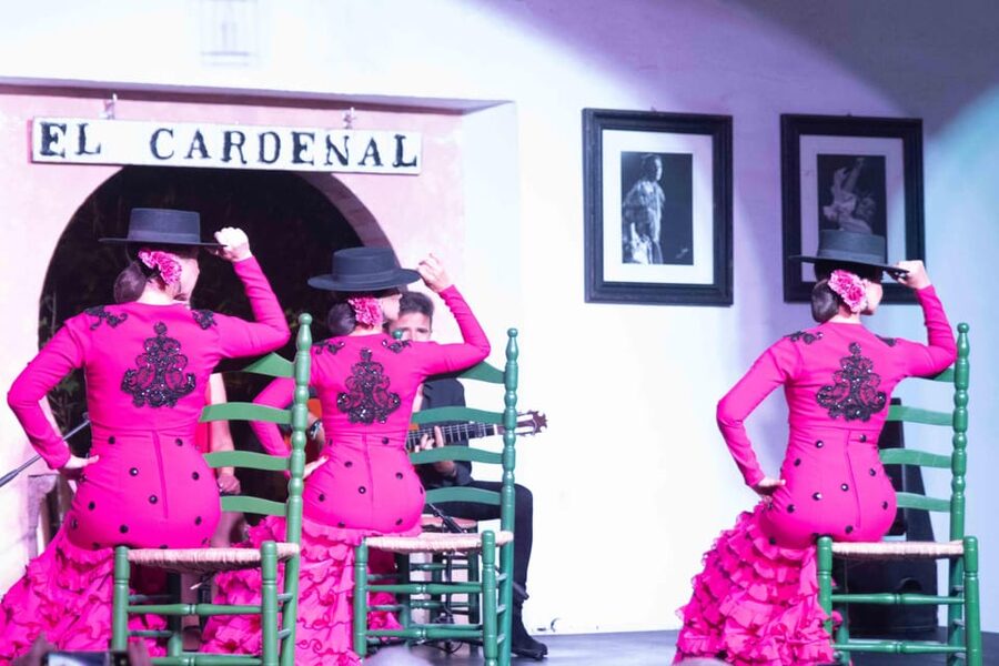 Córdoba: Flamenco Show Ticket with Drinks - The first minutes: guitar, voice, and rhythm