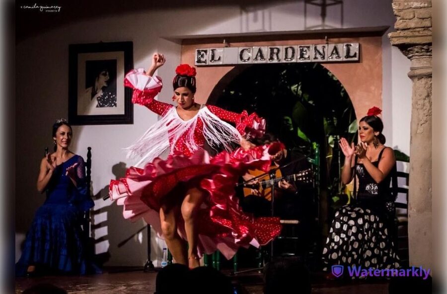 Córdoba: Flamenco Show Ticket with Drinks - Who should book this experience?