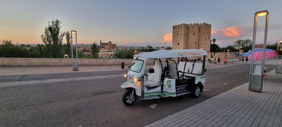Córdoba: Guided City Tour by Tuk-Tuk - From the Roman Temple to Corredera Square