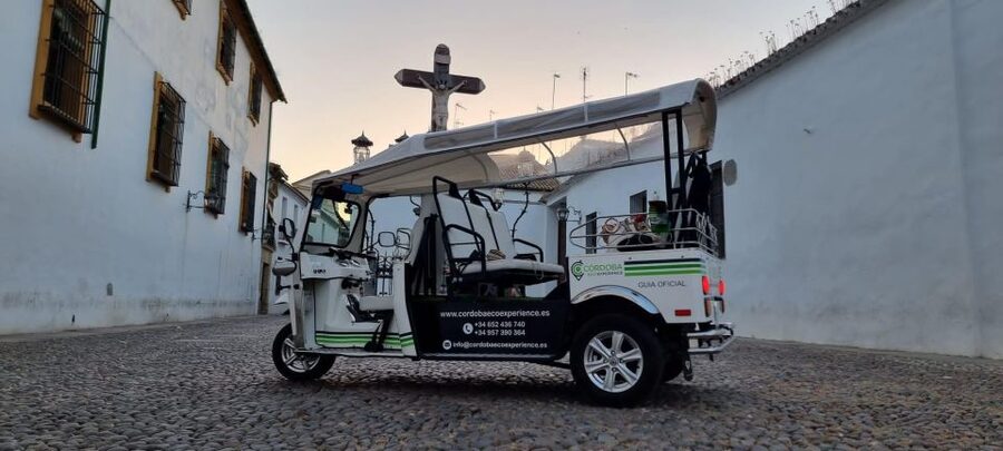Córdoba: Guided City Tour by Tuk-Tuk - Palacio de Viana and the eastern historic districts