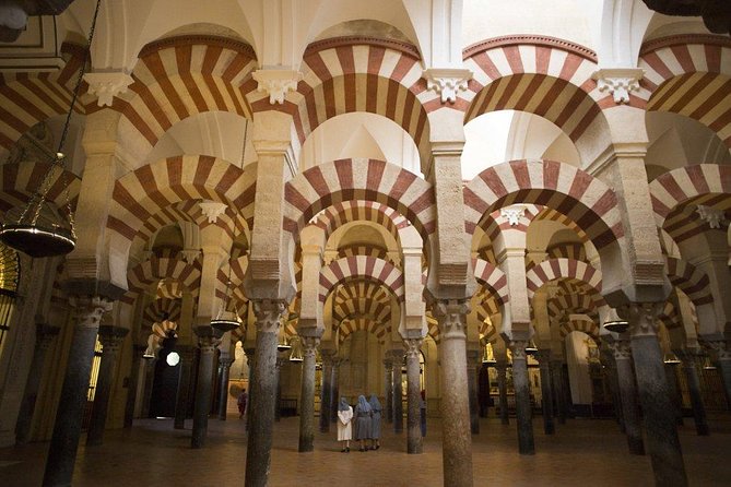 Cordoba Guided Tour Mosque and Cathedral from Seville - The road from Seville, and the shape of the day