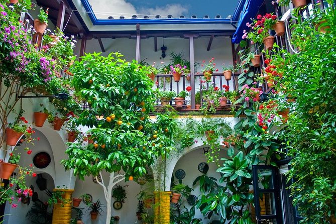 Cordoba Guided Tour Mosque and Cathedral from Seville - Free time, lunch, and the Córdoba you see alone
