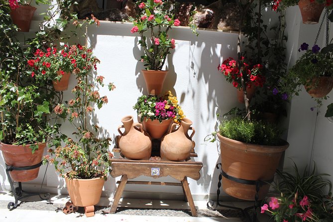 Cordoba Guided Tour Mosque and Cathedral from Seville - Is $119.77 a fair price?