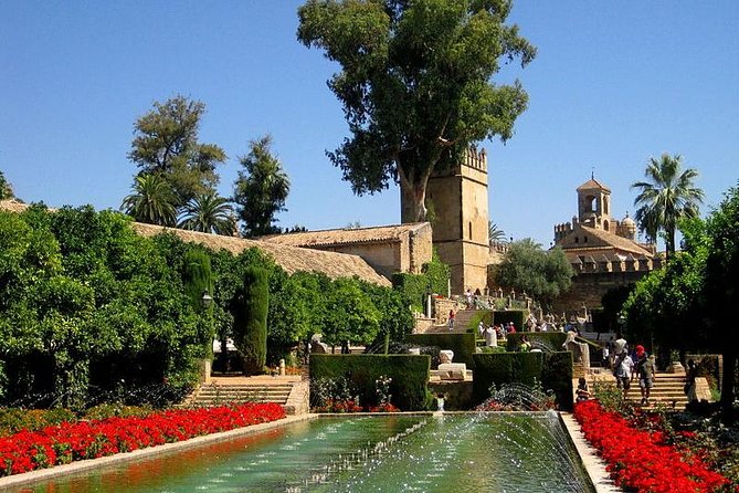Cordoba Guided Tour Mosque and Cathedral from Seville - Walking through La Judería