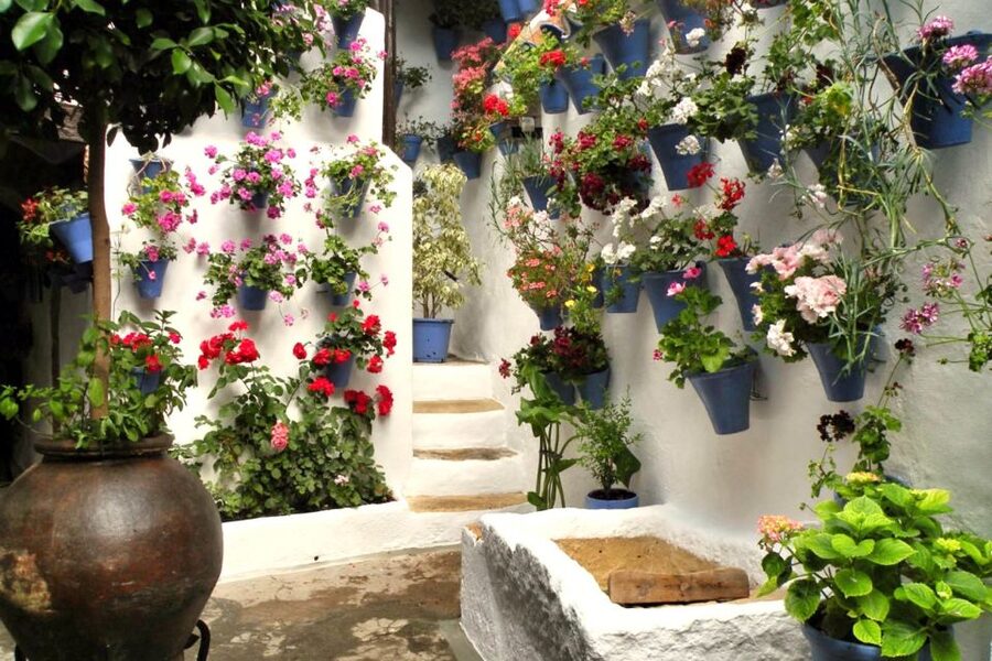Córdoba: Guided Tour of the Patios - Key points to know before you book