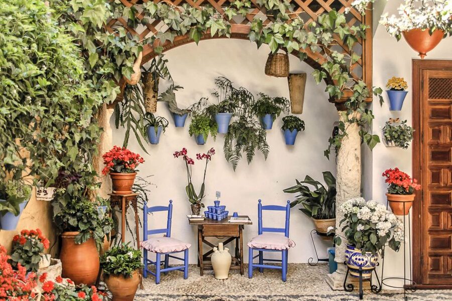 Córdoba: Guided Tour of the Patios - Why Córdoba’s patios are worth your time
