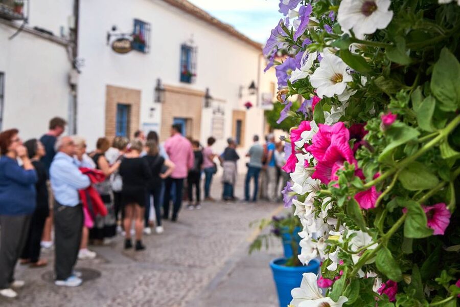 Córdoba: Guided Tour of the Patios - Meeting patio owners and seeing a lived tradition