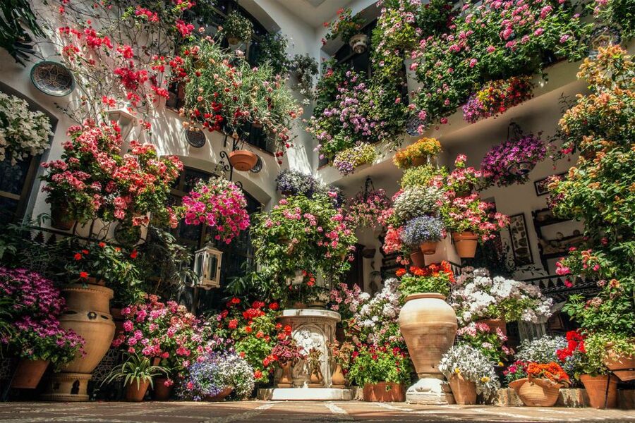 Córdoba: Guided Tour of the Patios - What the 90 minutes feel like
