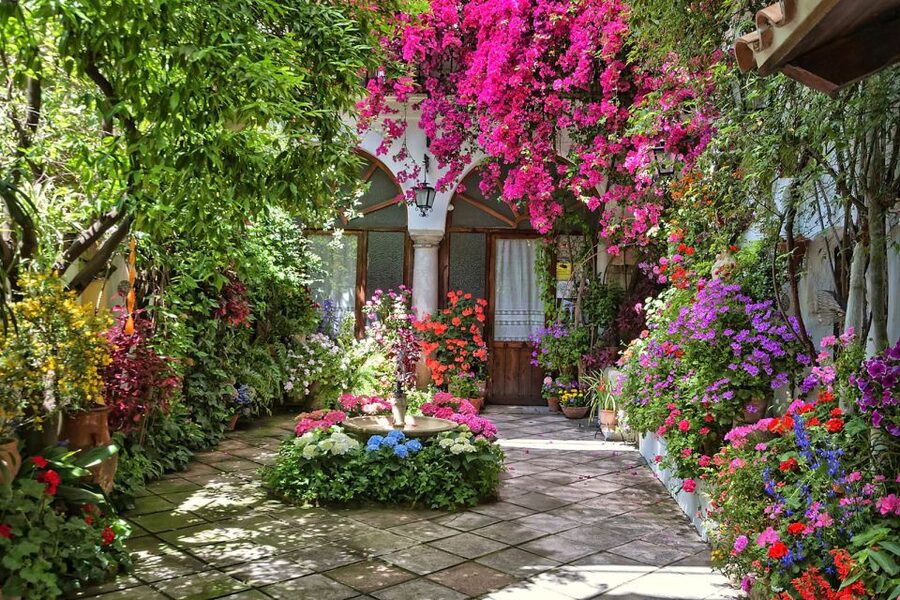 Córdoba: Guided Tour of the Patios - Guide quality makes the difference
