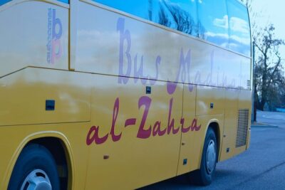 Half-Day Medina Azahara Guided Tour