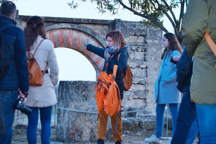 Cordoba: Half-Day Medina Azahara Guided Tour - Is $18 a good price for this half-day outing?