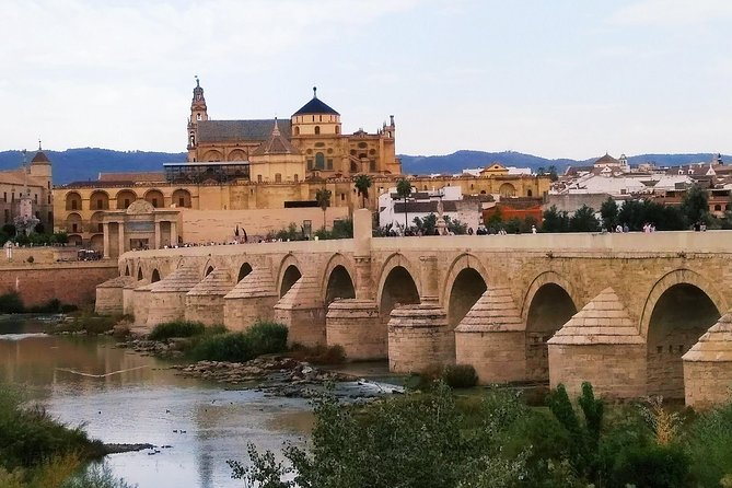 Córdoba Highlight Walking Tour - Why this short Córdoba walk works well