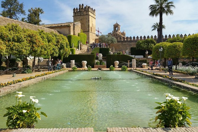 Cordoba Highlights: Guided Day Tour from Seville - Who gets the best value from this tour