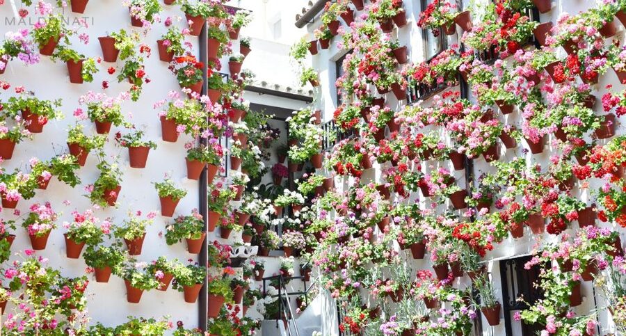 Córdoba Highlights Walking Tour - The Mezquita-Catedral as the central stop