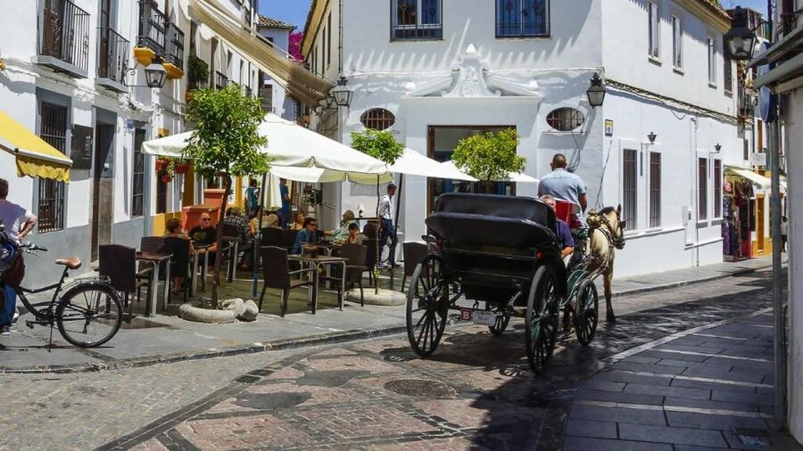 Cordoba: Historical Monuments of Cordoba City Walking Tour - What the $49 price gets you