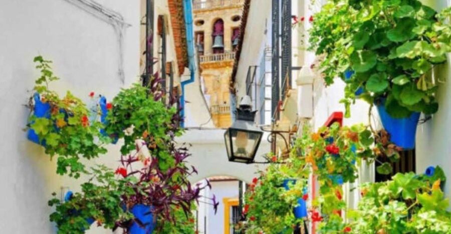 Cordoba: Historical Monuments of Cordoba City Walking Tour - Through the Jewish Quarter and medieval Córdoba