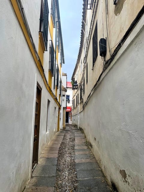 Cordoba: Jewish History Private Tour - Plaza de Judá Levi and the Jewish intellectual world