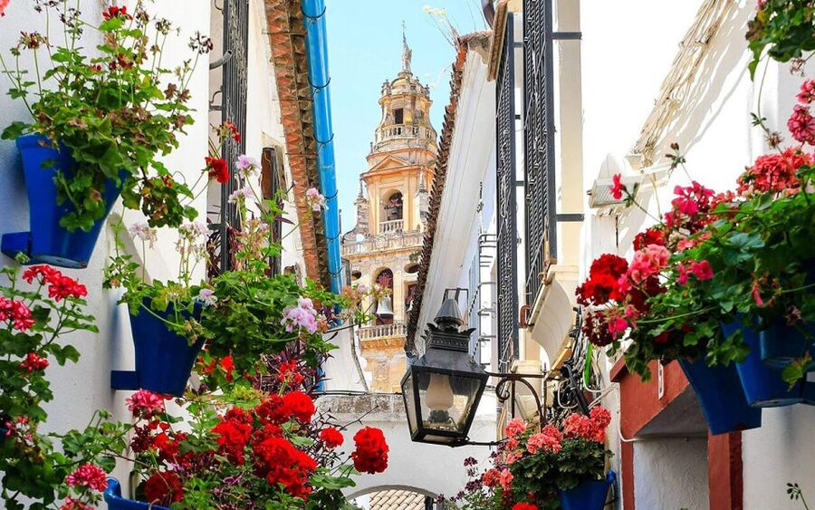 Córdoba: Mosque and Alcazar Private Tour with tickets - Why this Córdoba route works
