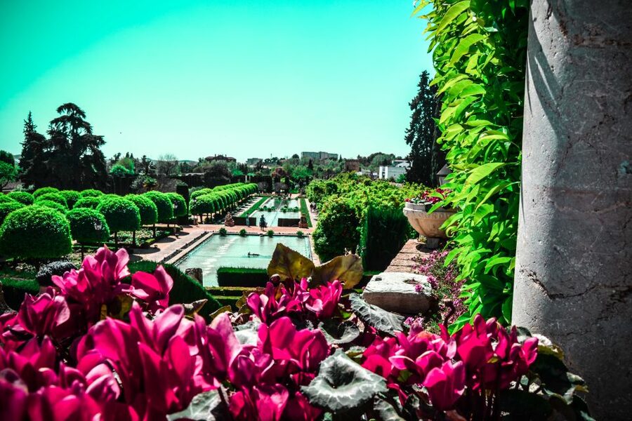 Córdoba: Mosque-Cathedral and Alcazar Tour - Who will get the most from this tour?