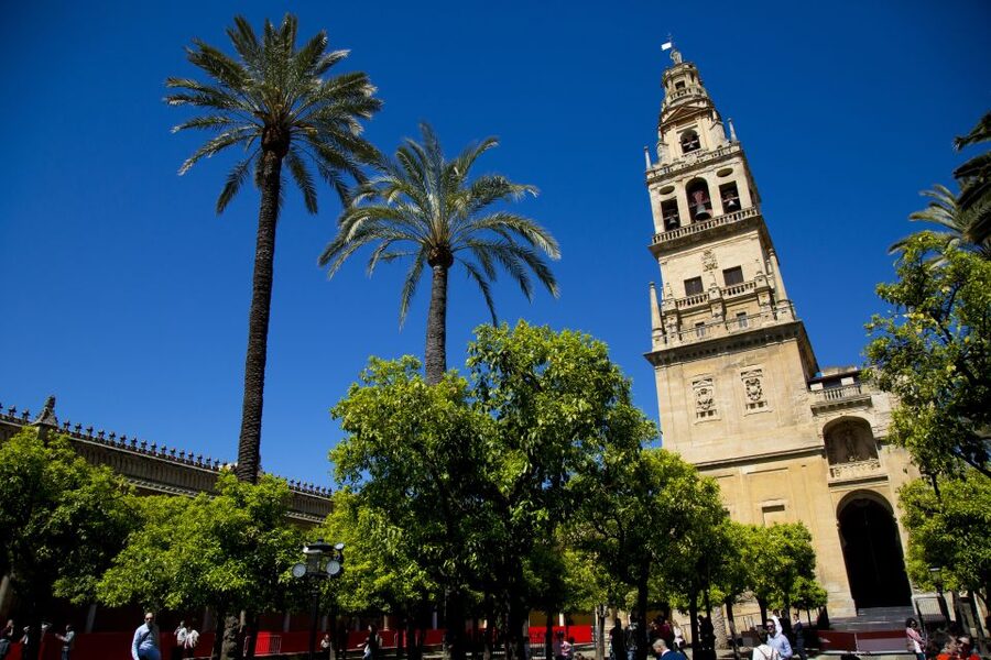 Córdoba: Mosque-Cathedral, Jewish Quarter and Alcázar Tour - The Mosque-Cathedral and its double arches