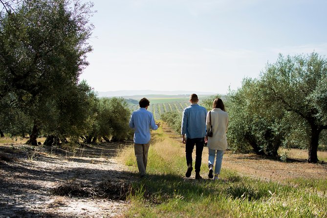 Cordoba Olive Oil mill, Wine, Passion - Key Points to Know Before You Book