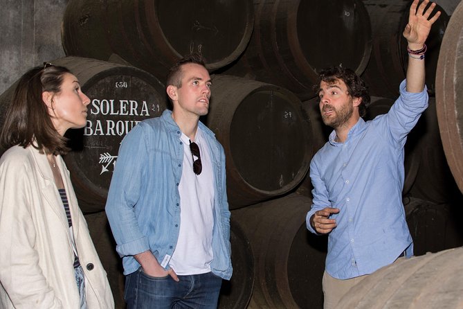 Cordoba Olive Oil mill, Wine, Passion - Learning to Taste Extra Virgin Olive Oil
