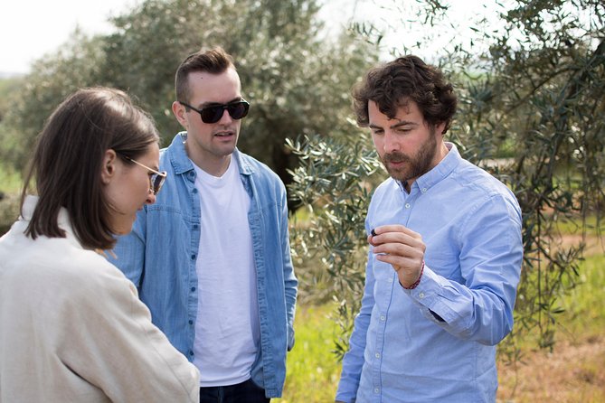 Cordoba Olive Oil mill, Wine, Passion - Inside the Working Olive Oil Facility
